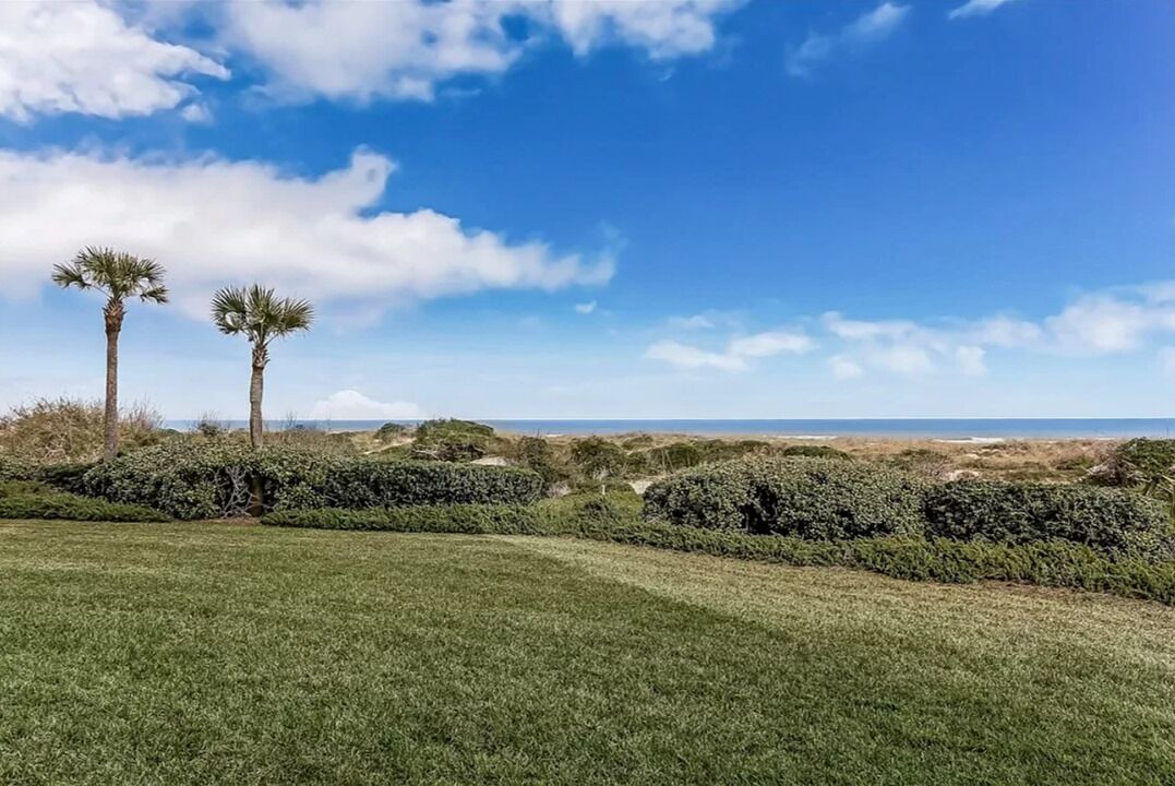 Photo of Others in Amelia City