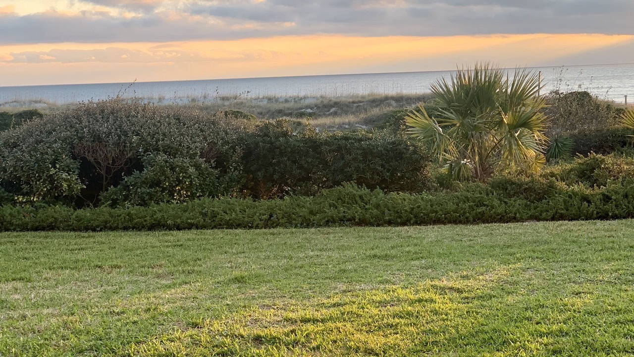 Photo of Others in Amelia City