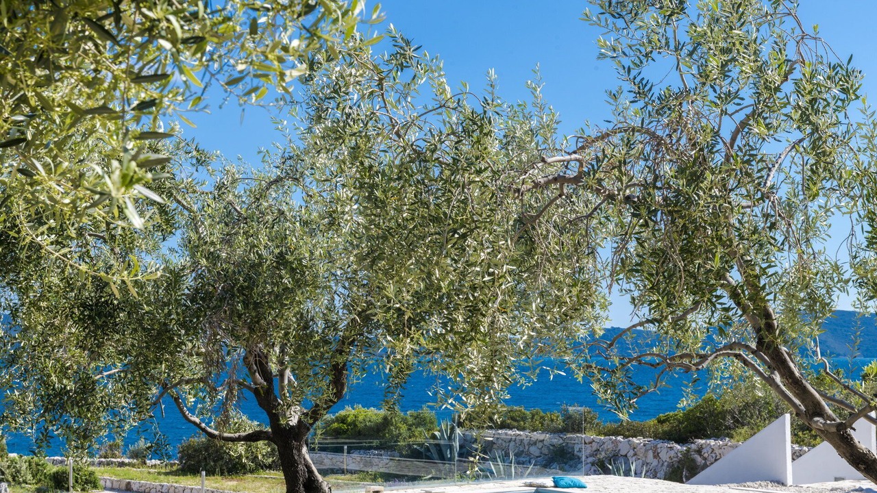 Photo of Outdoor in Podimoc