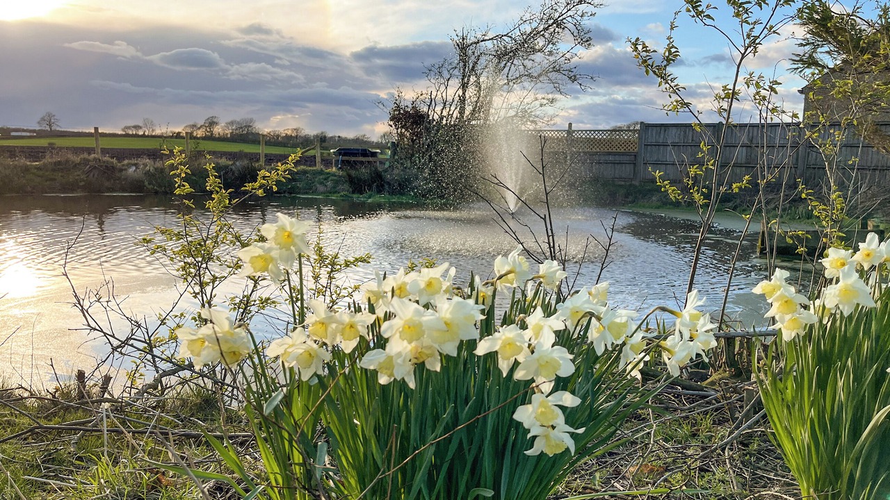 Photo of Outdoor in Wreay