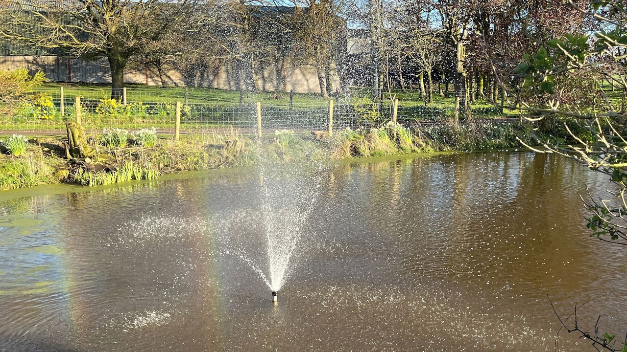 Photo of Outdoor in Wreay