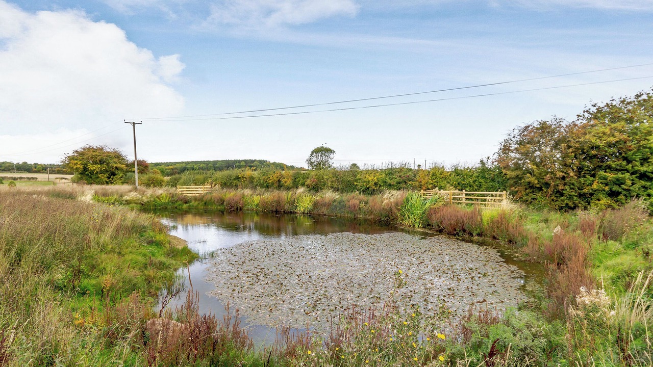 Photo of Others in Old Somerby