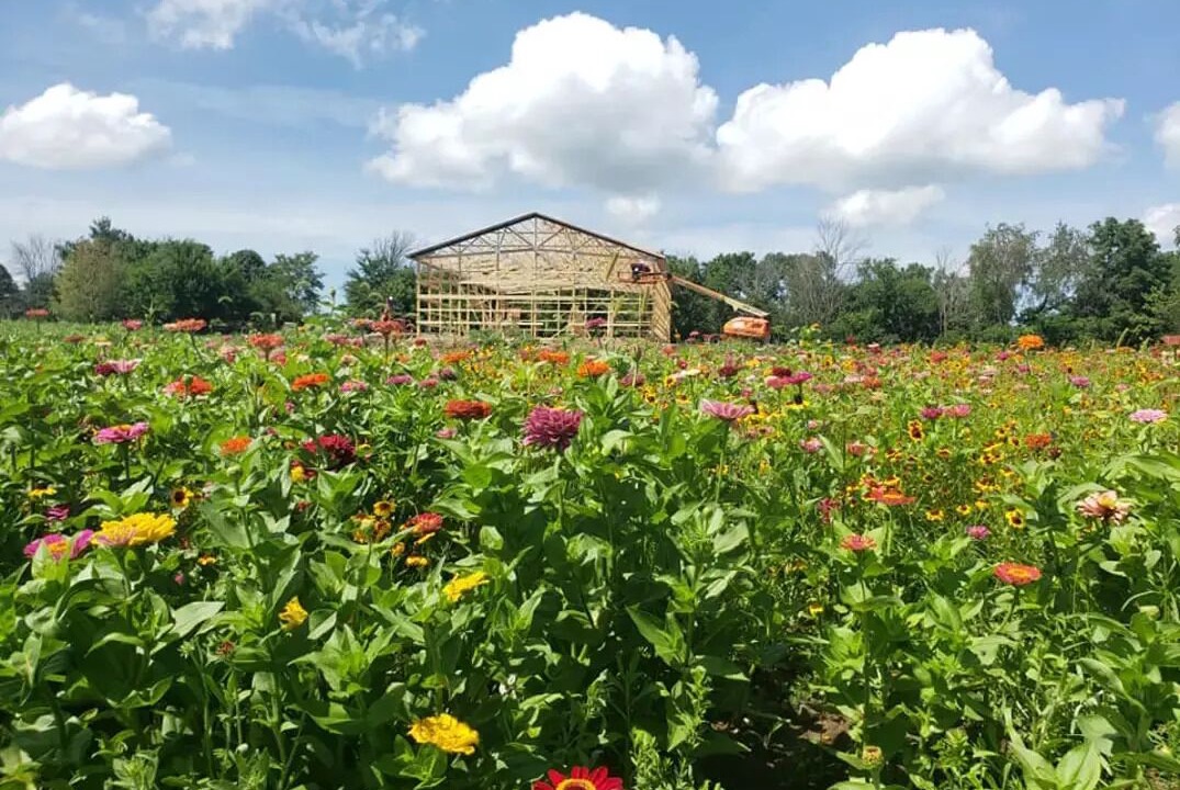 Photo of Outdoor in Sunnyland