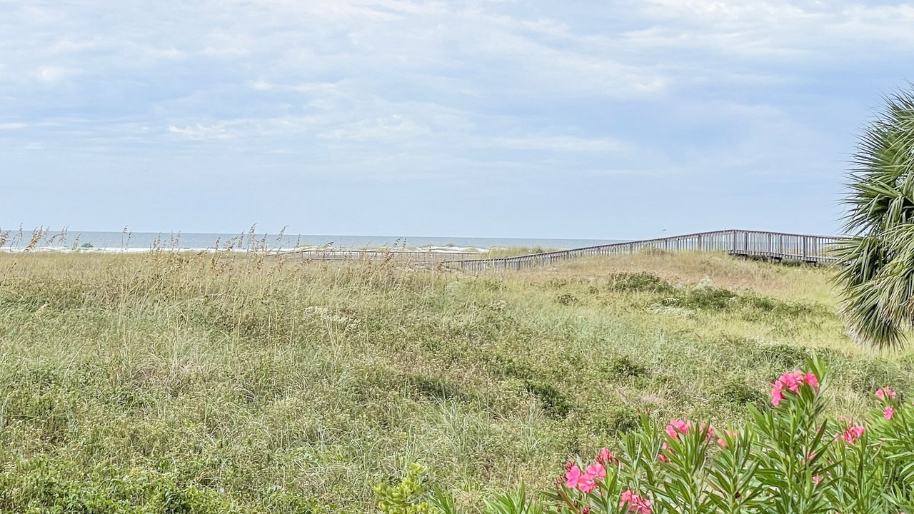 Photo of Others in Dauphin Island