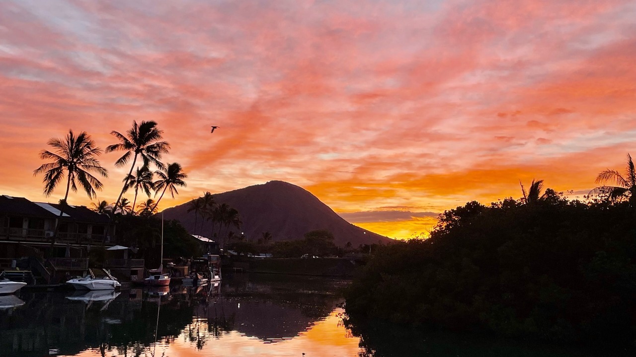 Photo of Others in Portlock