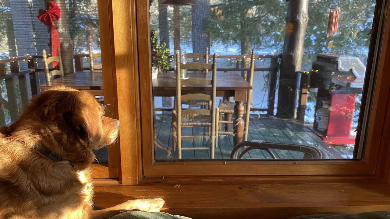 Photo of Others in Lake Luzerne