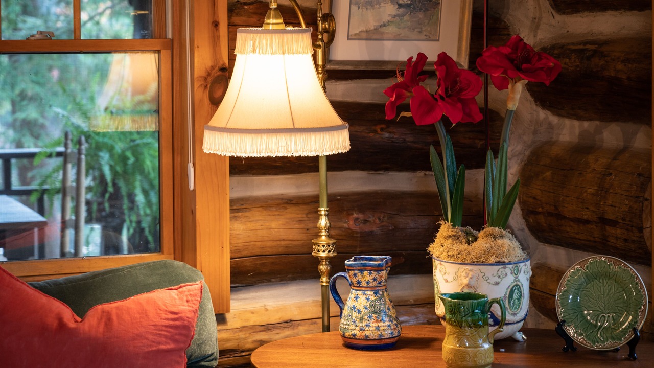Photo of Livingroom in Lake Luzerne