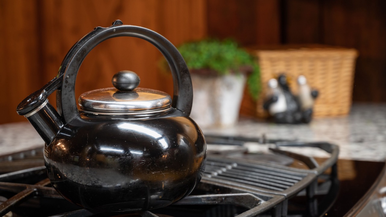 Photo of Others in Lake Luzerne