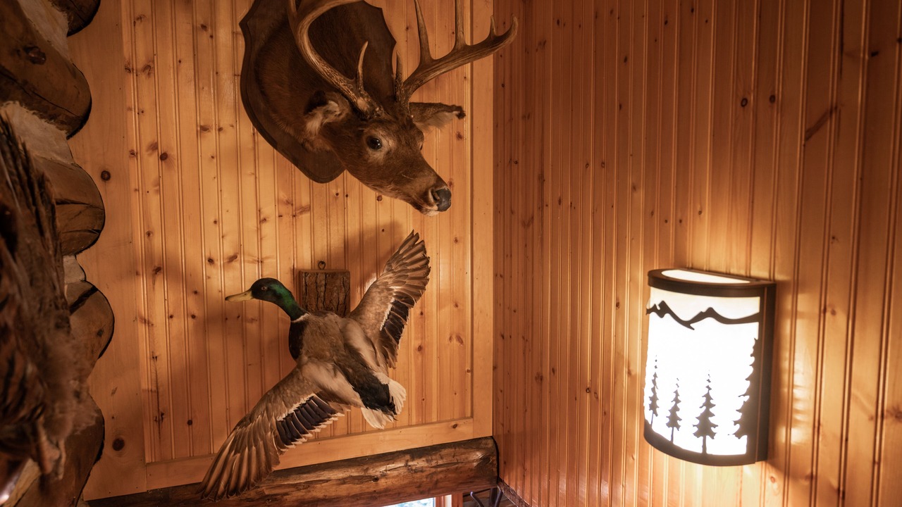 Photo of Others in Lake Luzerne