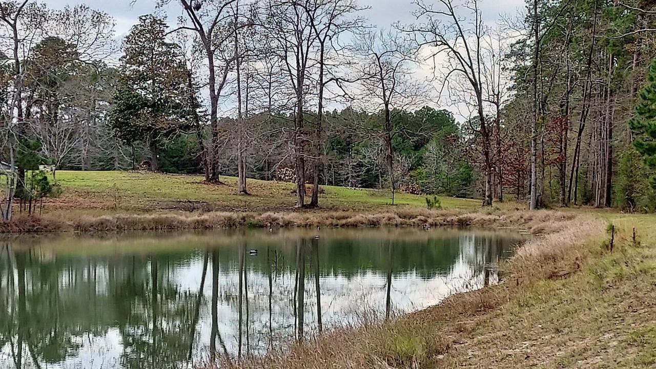 Photo of Outdoor in Brookeland
