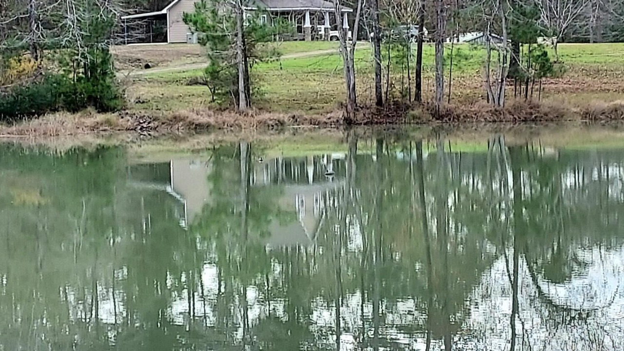 Photo of Outdoor in Brookeland