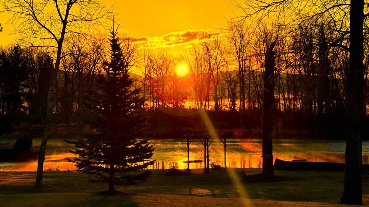 Photo of Others in Stevensville