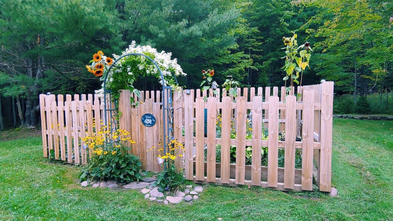 Photo of Outdoor in Prattsville