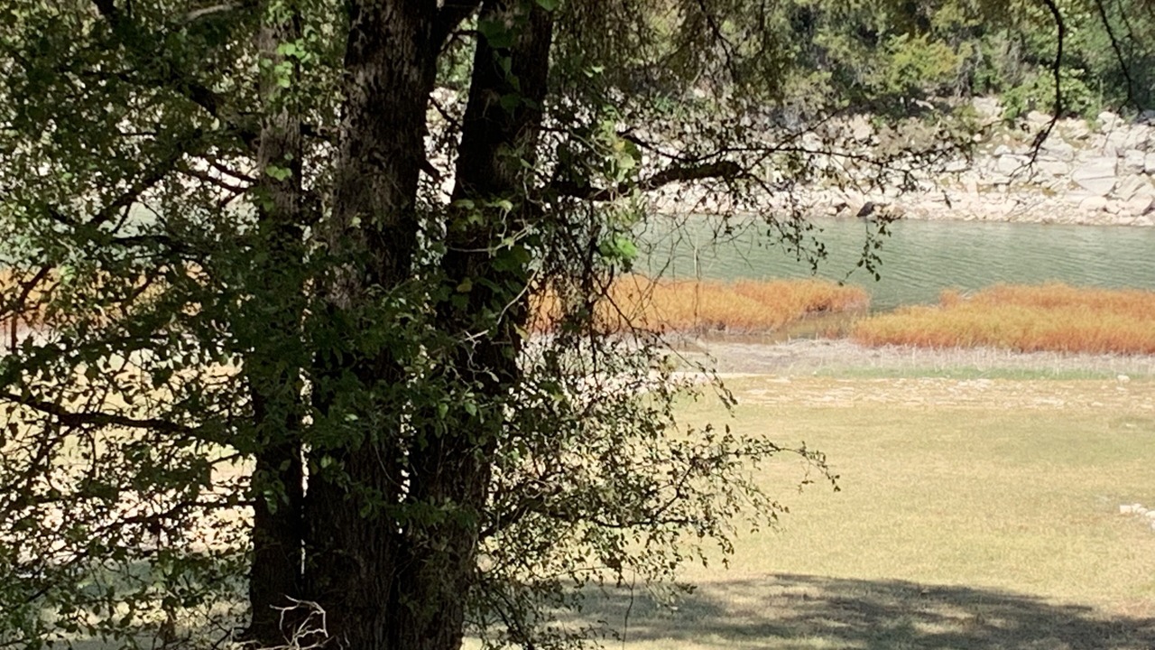 Photo of Others in Leander