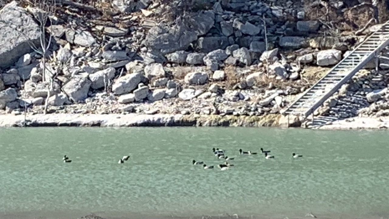 Photo of Outdoor in Leander
