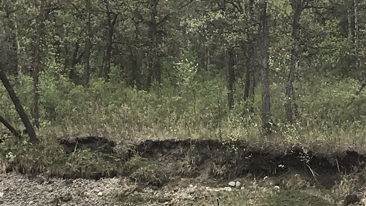 Photo of Others in Manitoba