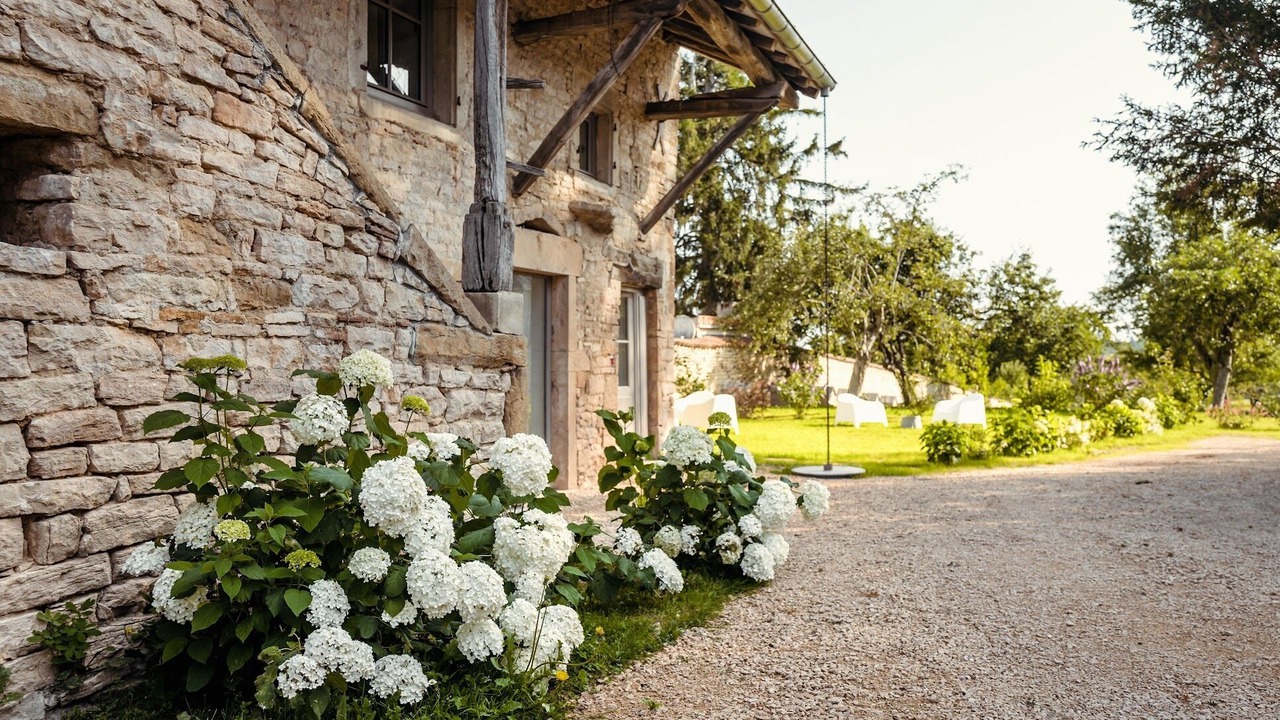 Photo of Others in Chapaize