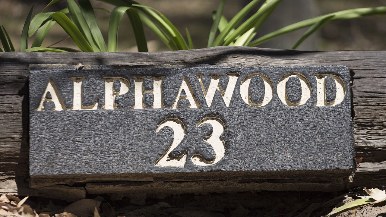 Photo of Outdoor in Mount View