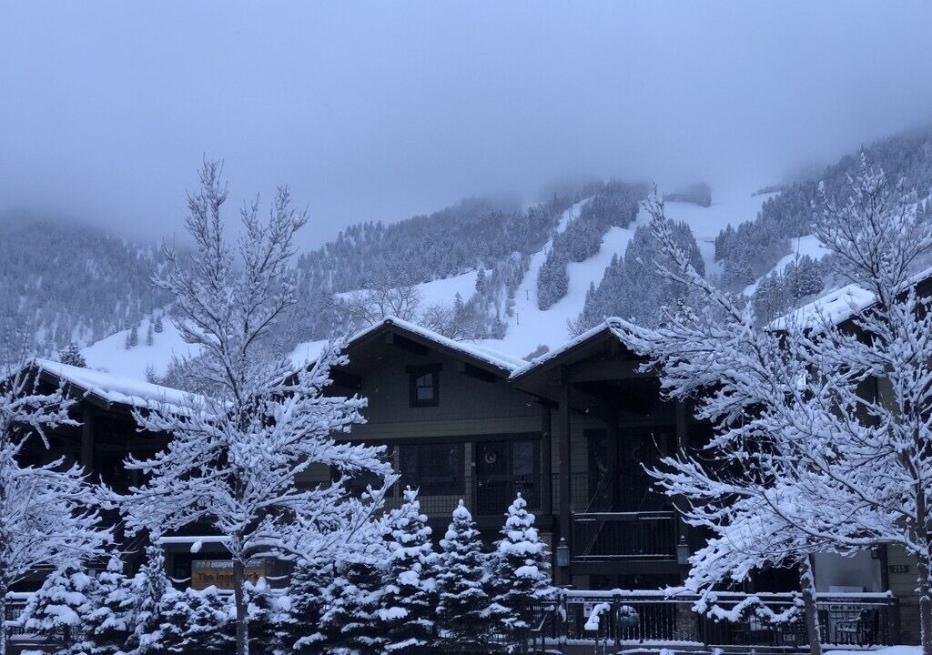 Photo of Outdoor in West End