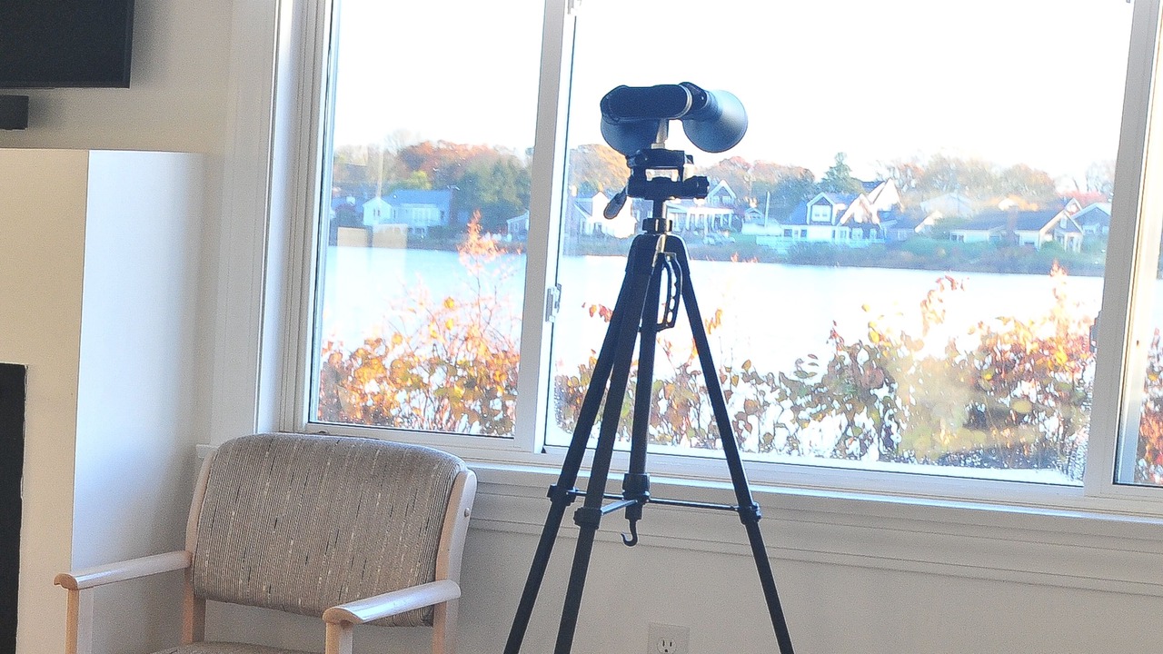 Photo of Others in Falmouth Heights
