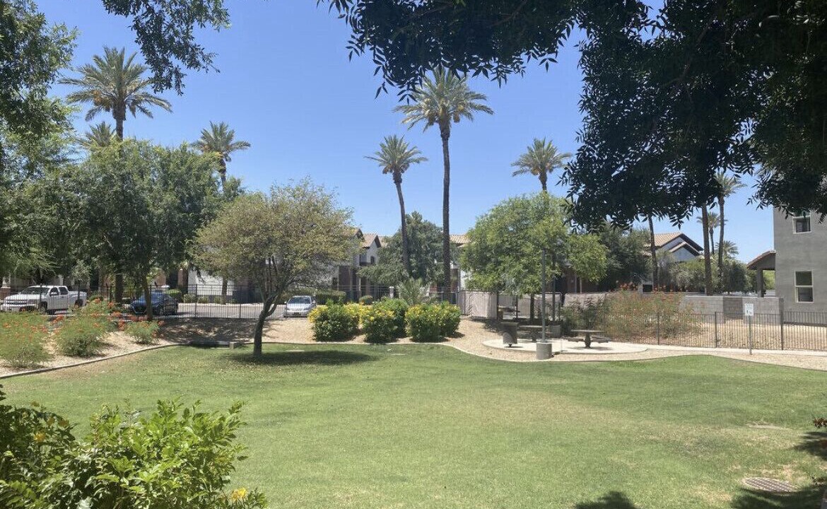 Photo of Others in Chandler