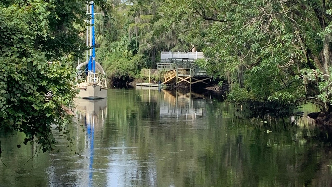 Photo of Outdoor in Crystal River