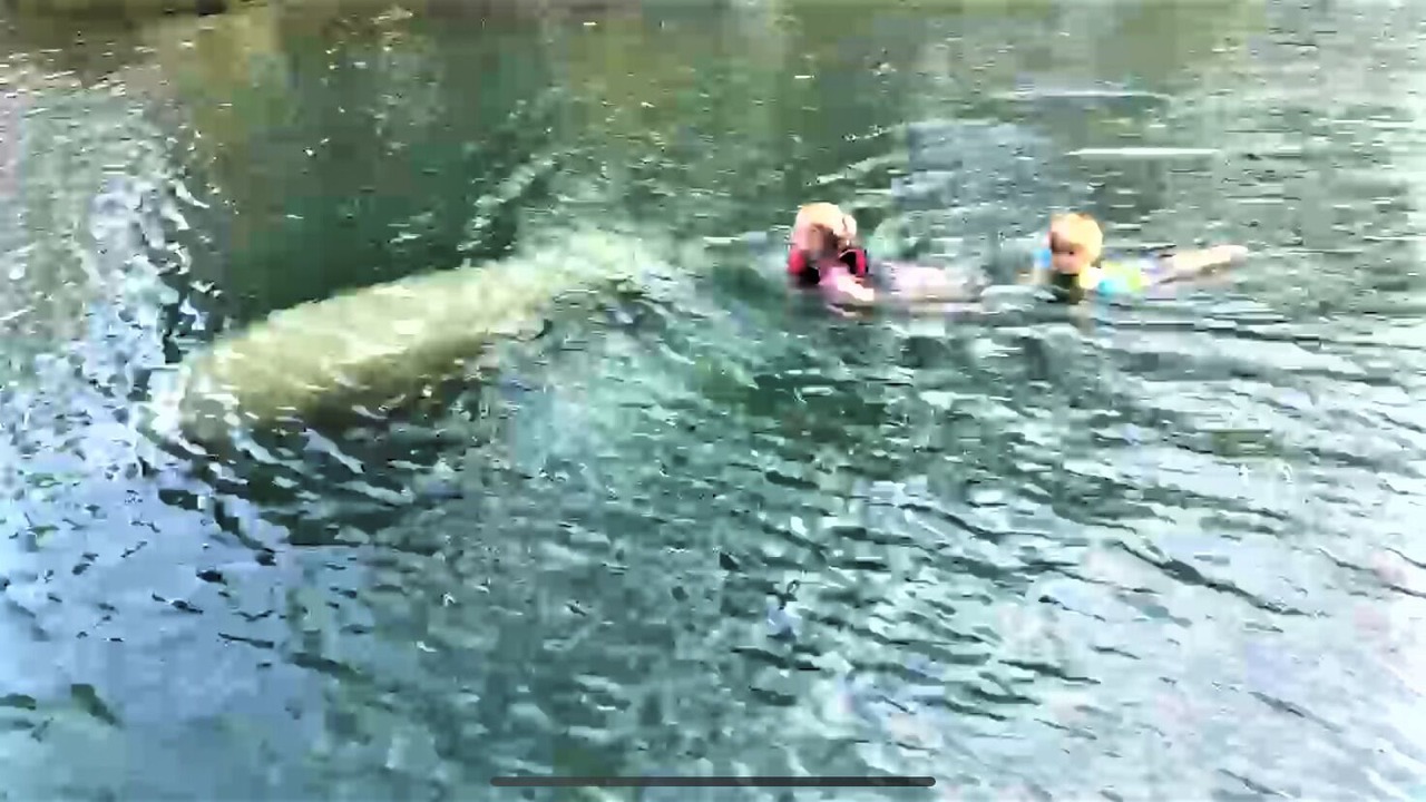 Photo of Outdoor in Crystal River
