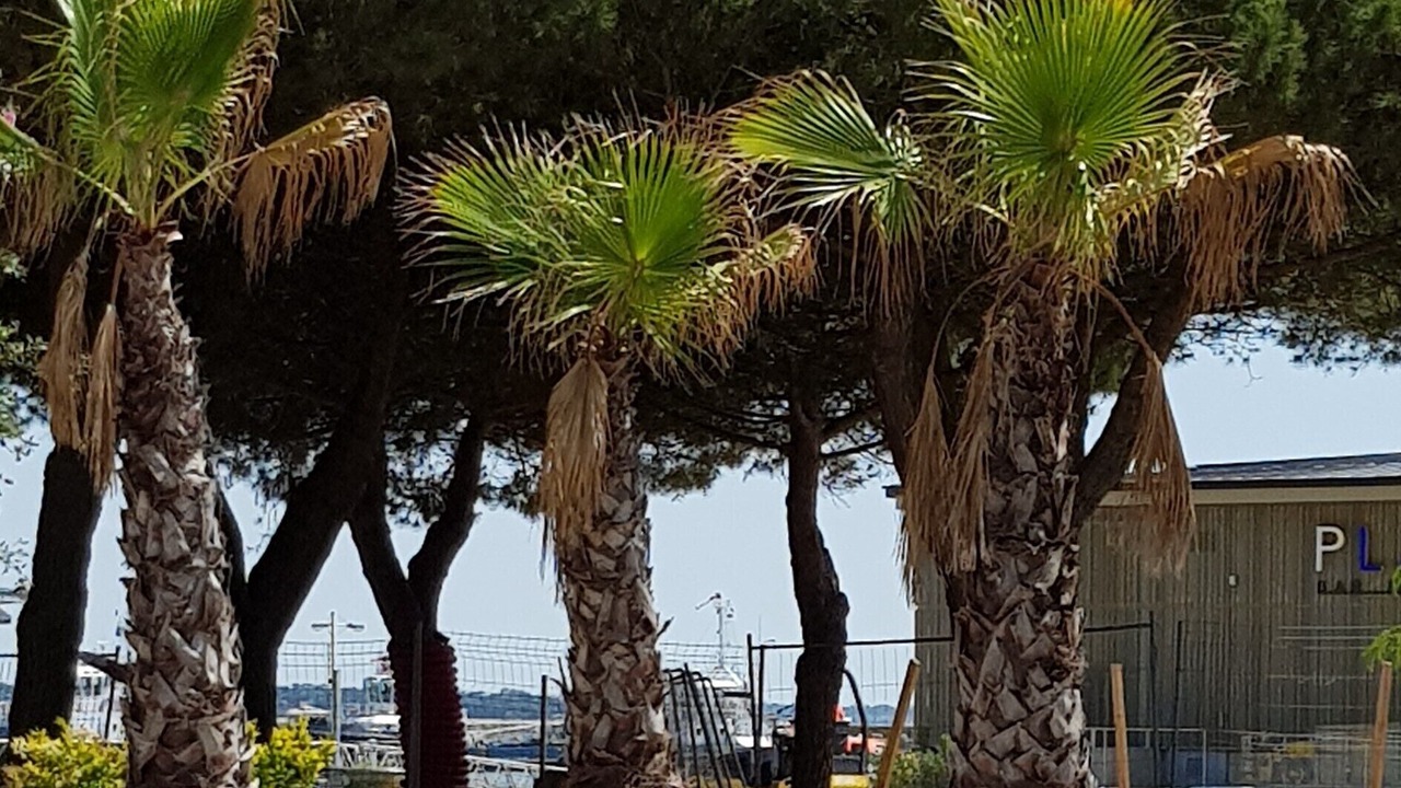 Photo of Outdoor in Saint-Nazaire