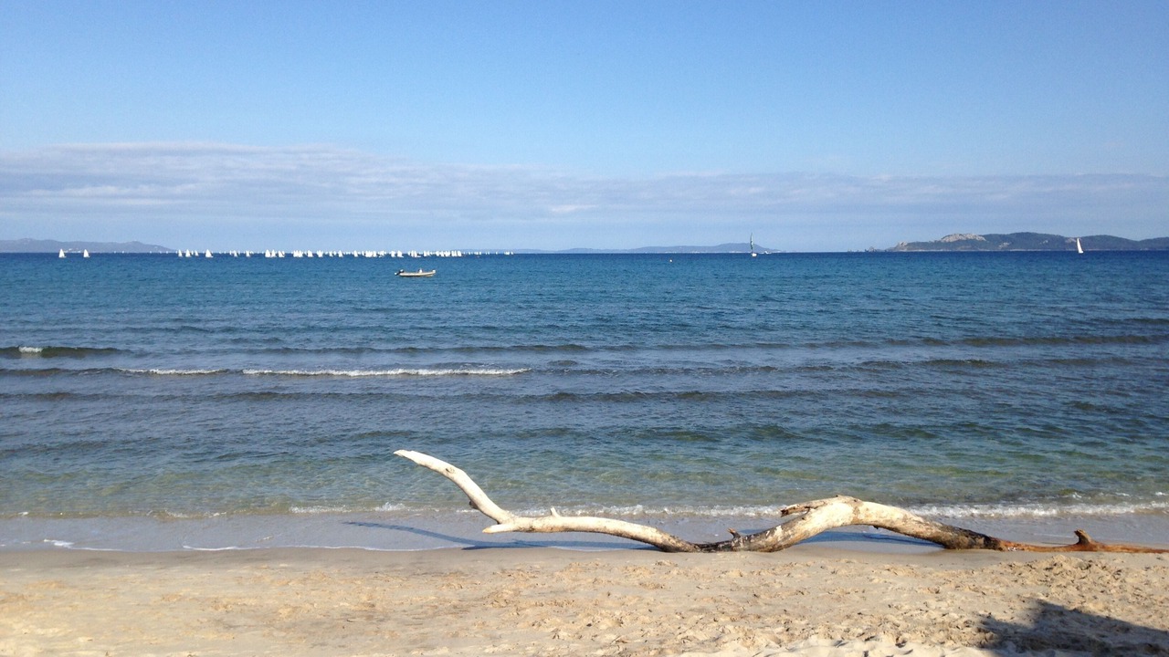 Photo of Others in La Capte