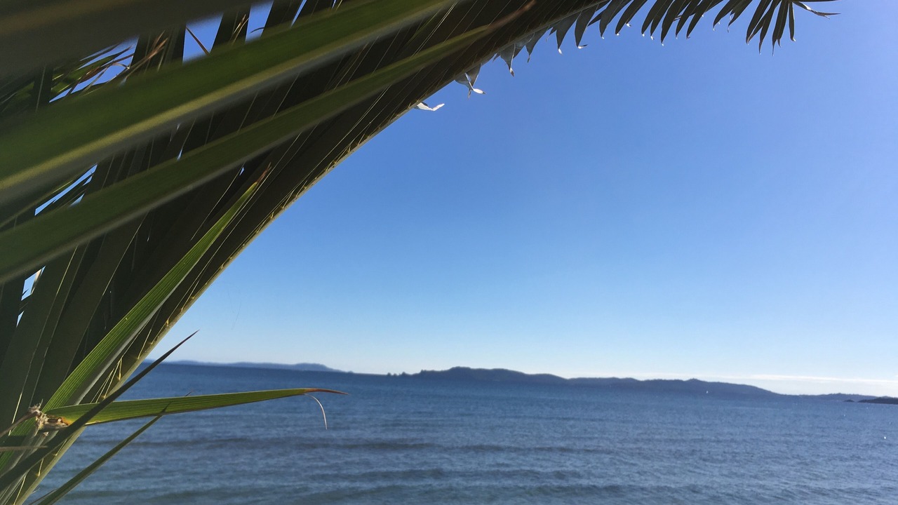 Photo of Others in La Capte