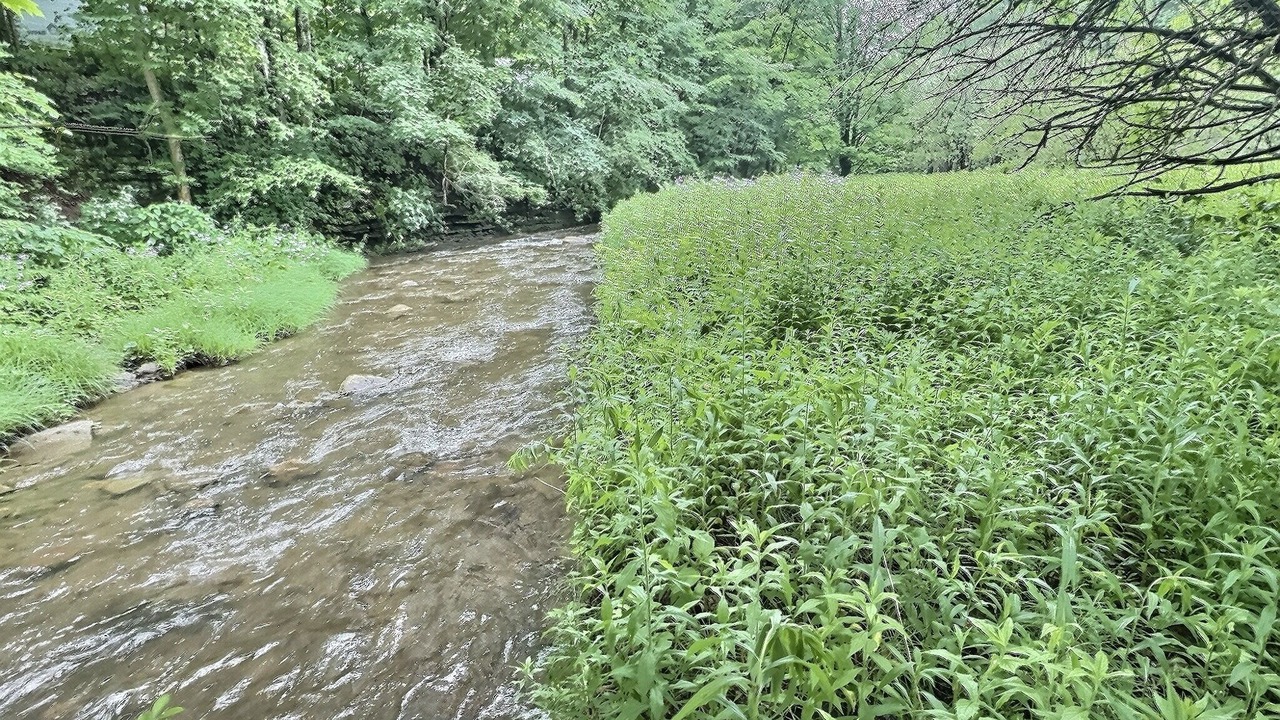 Photo of Others in Mannsville