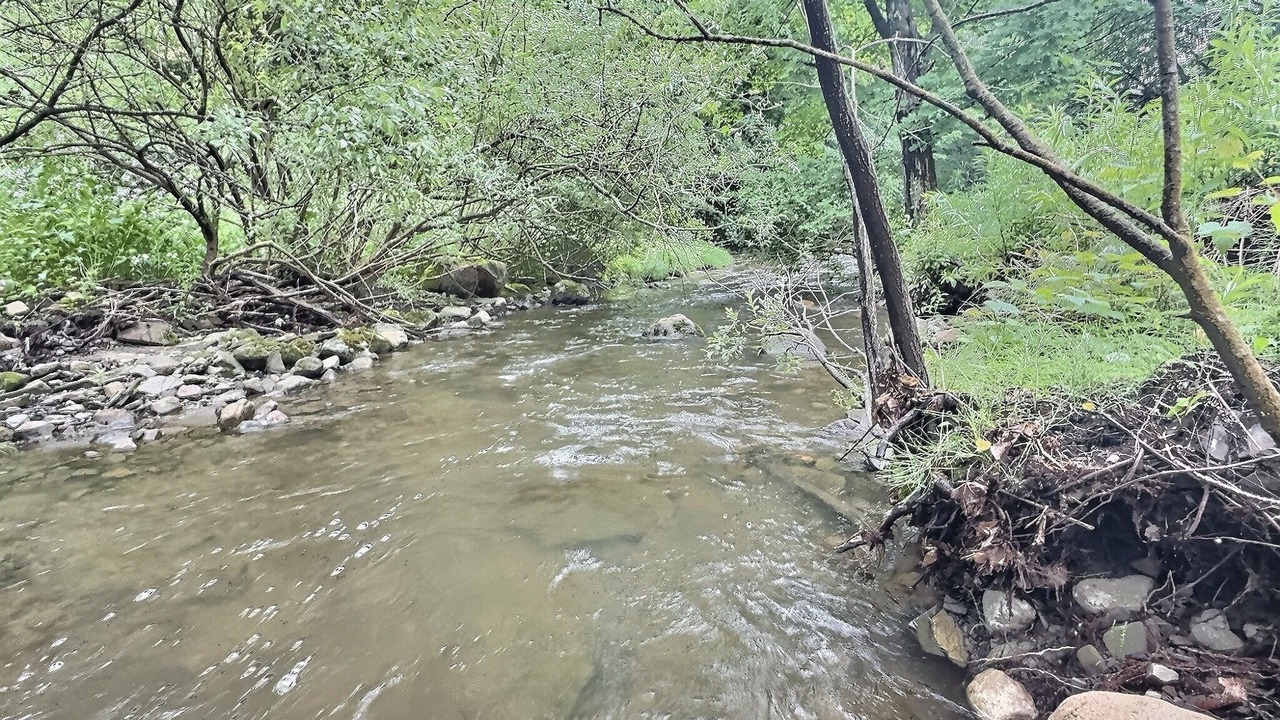 Photo of Others in Mannsville