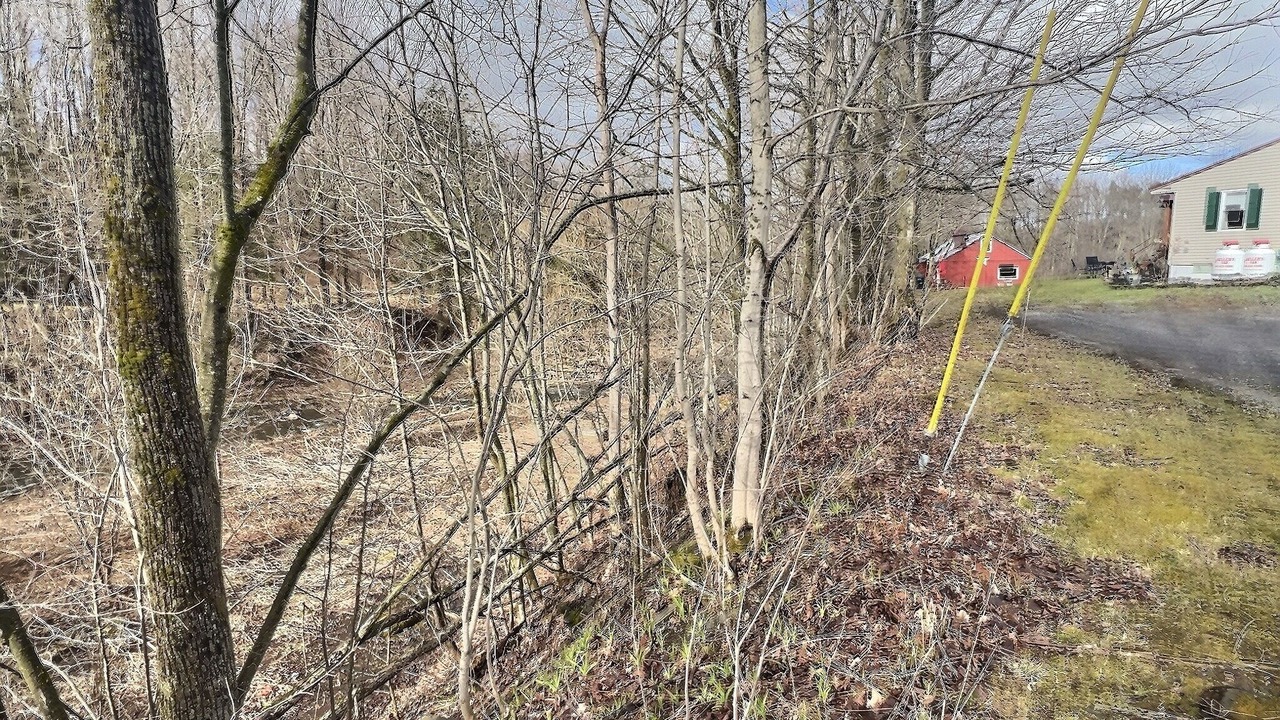 Photo of Outdoor in Mannsville