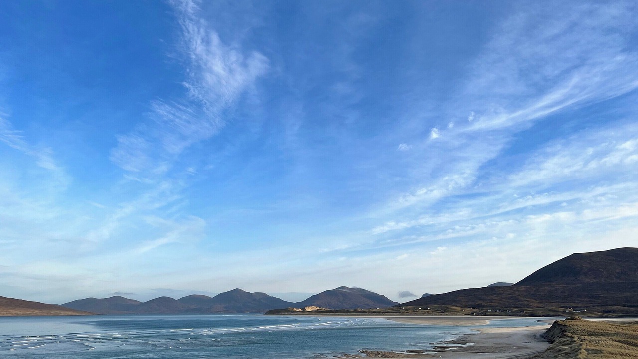 Photo of Others in Harris