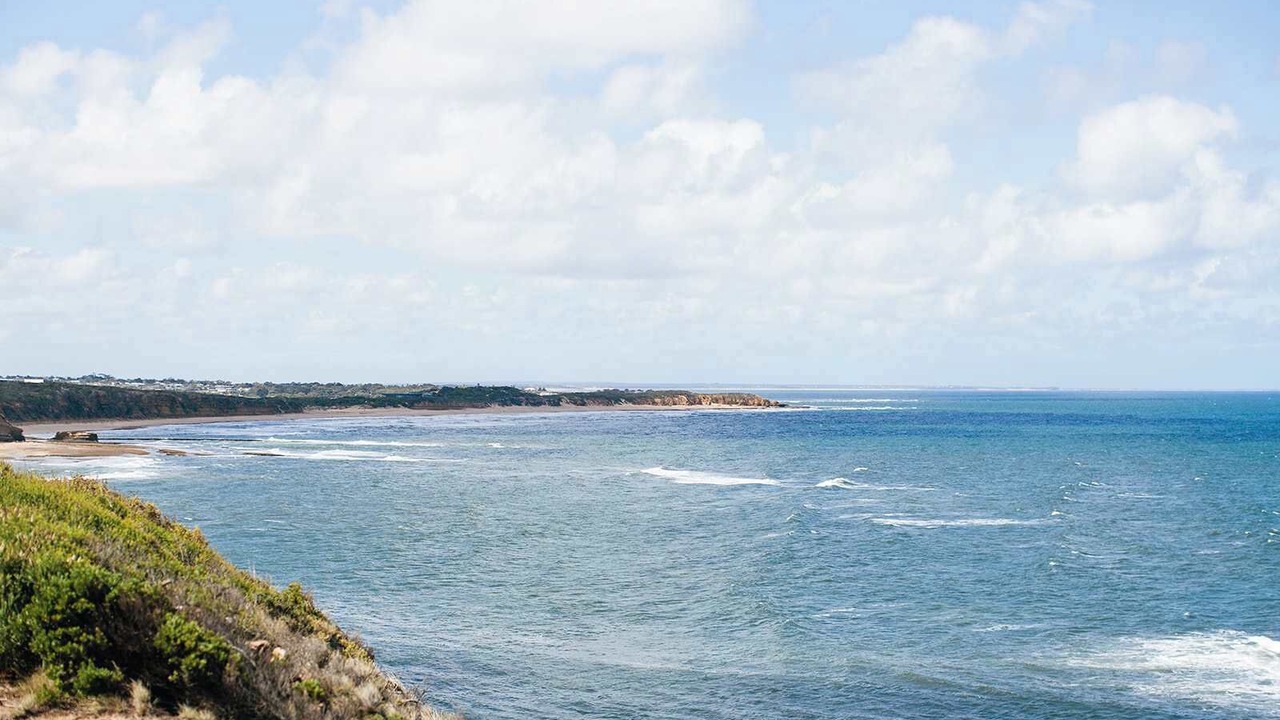 Photo of Others in Jan Juc