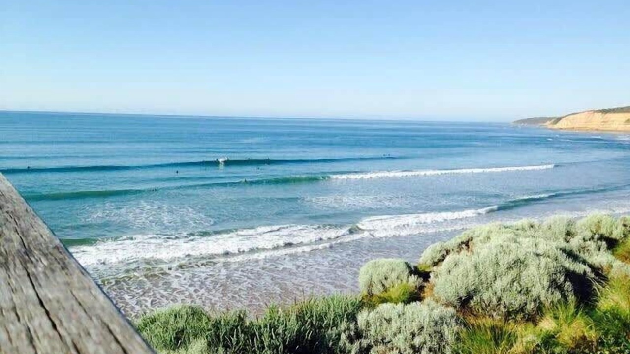 Photo of Others in Jan Juc