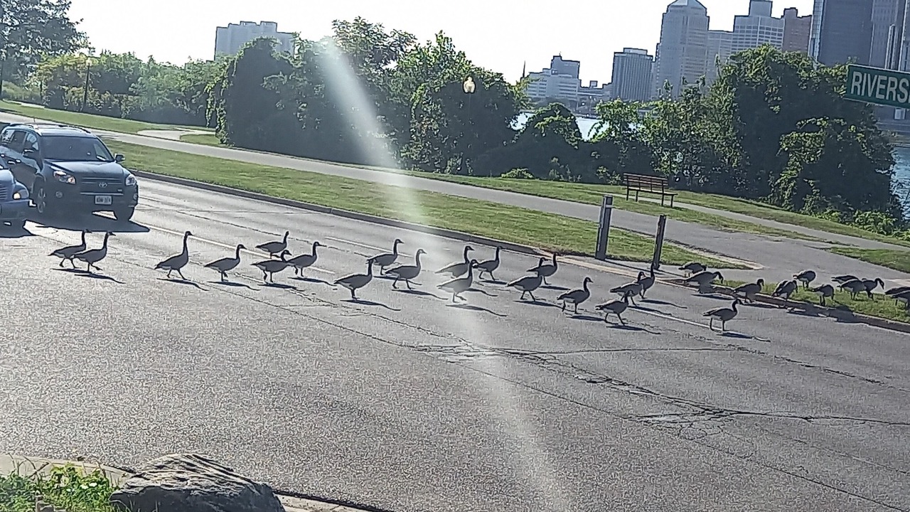 Photo of Outdoor in Walkerville