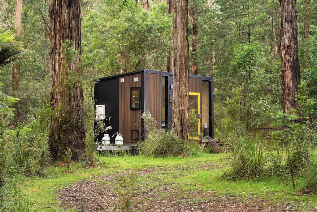 Photo of Outdoor in Toolangi