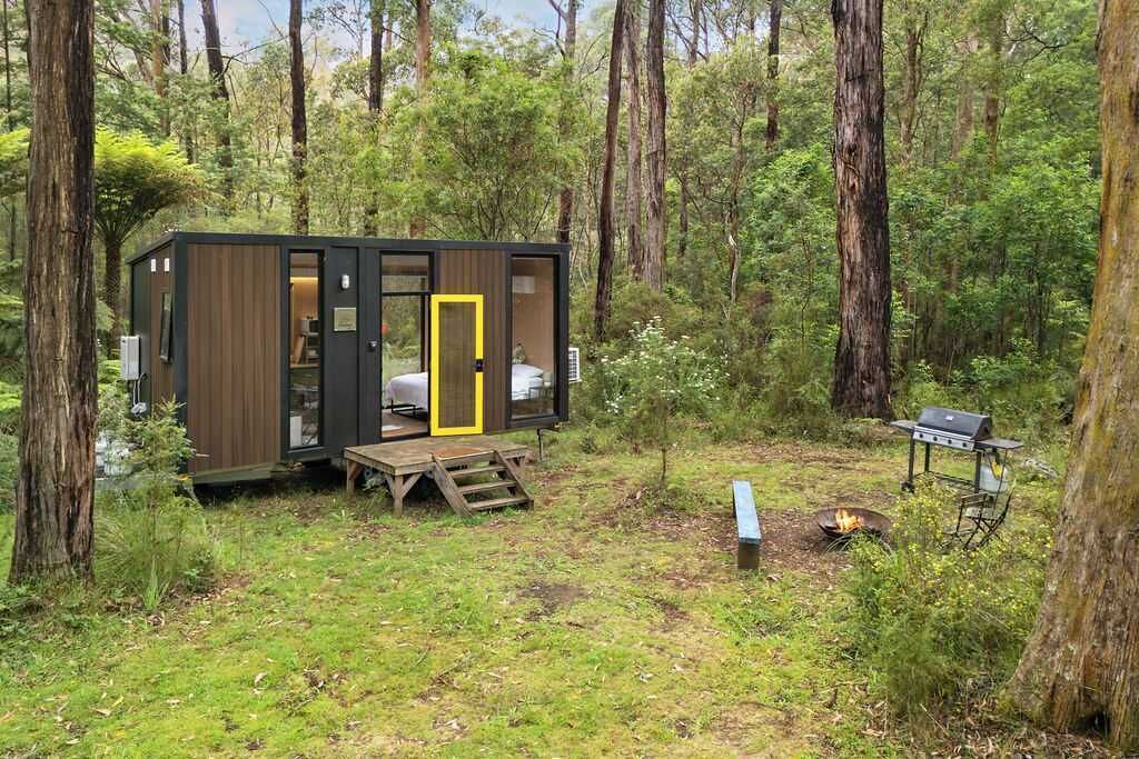 Photo of Outdoor in Toolangi