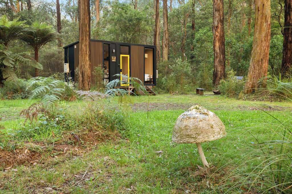 Photo of Outdoor in Toolangi