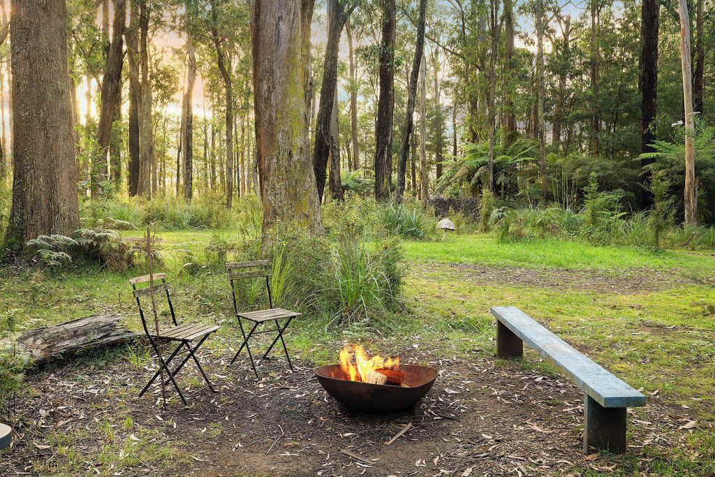 Photo of Outdoor in Toolangi