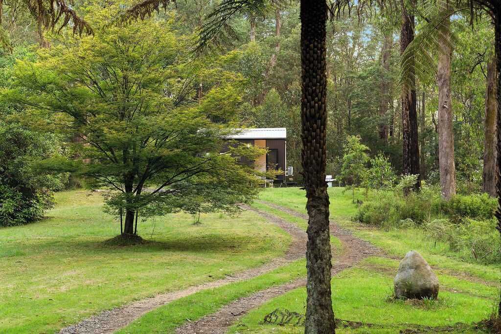 Photo of Outdoor in Toolangi