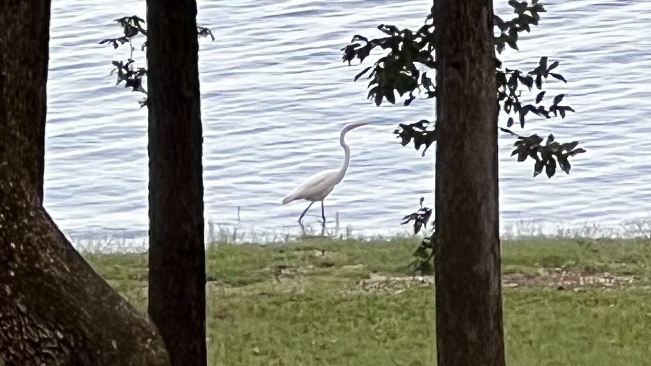 Photo of Outdoor in Avinger
