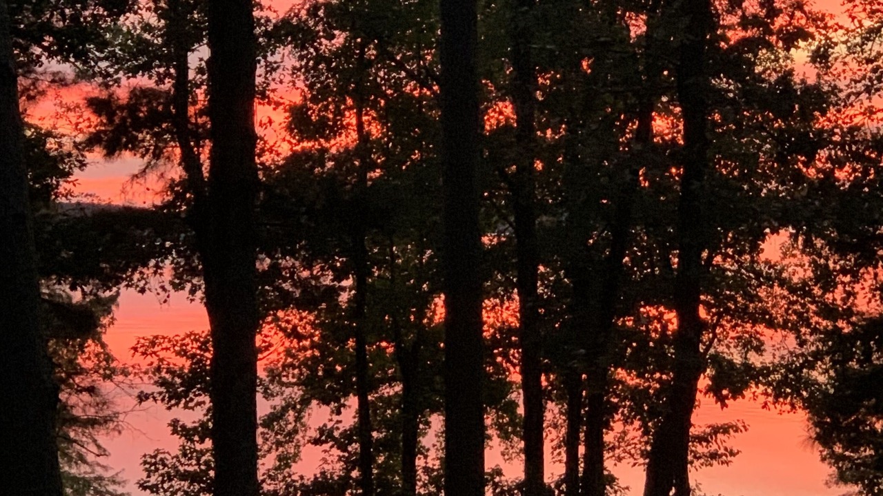 Photo of Outdoor in Avinger