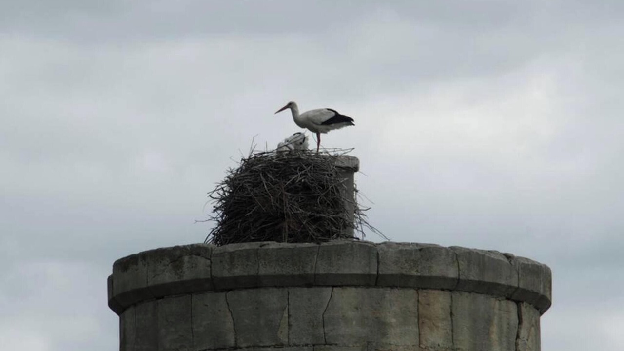 Photo of Others in Marsillargues
