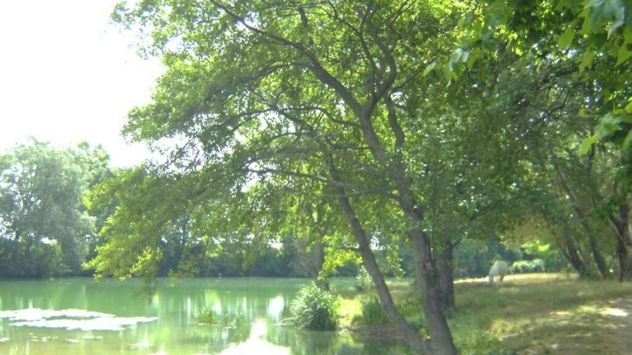 Photo of Others in Marsillargues