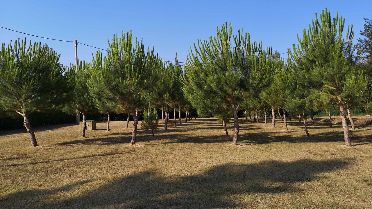 Photo of Outdoor in Llagostera