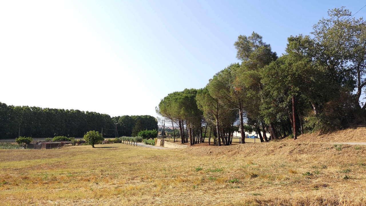 Photo of Outdoor in Llagostera