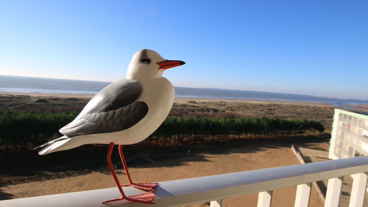 Photo of Outdoor in Saint-Brevin-les-Pins