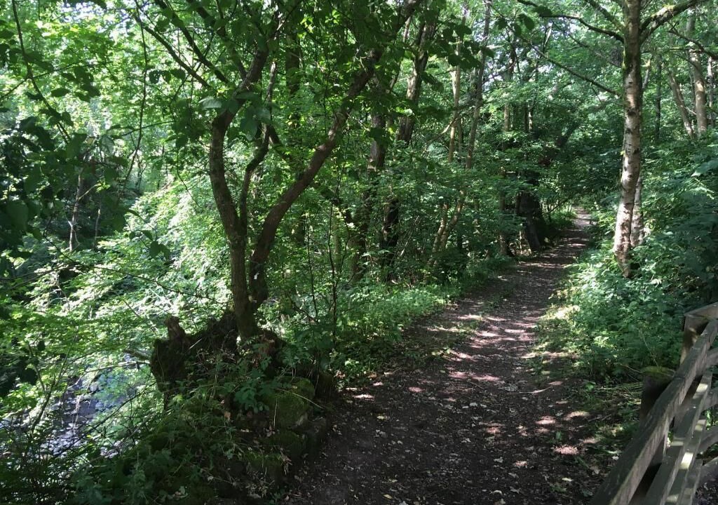 Photo of Outdoor in Sanquhar
